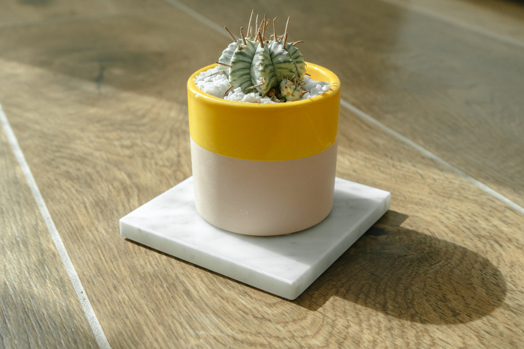 SOTTOBICCHIERE "TIMO" (SET 2PZ) MARMO BIANCO DI CARRARA